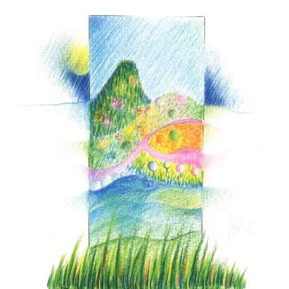 Os Lírios da Lua